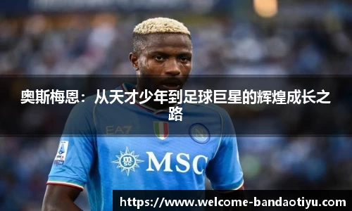 半岛体育官网