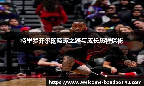 半岛体育官方网站